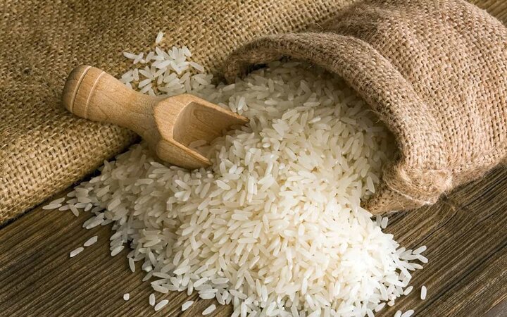 قیمتها کاهشی نشد؛ کشاورز و مصرفکننده بینصیب از بازار برنج