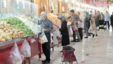 قیمت سیب‌زمینی با کاهش ۵۰ درصدی عرضه، افزایش یافت+ جدول قیمت‌ها