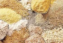 پرهیز از اتخاذ تصمیمات «پشت درهای بسته» در حوزه کشاورزی جدیتر شد پرهیز از اتخاذ تصمیمات «پشت درهای بسته» در حوزه کشاورزی جدیتر شد