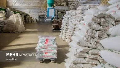 استمرار ثبت سفارش واردات برنج از ۵ مهرماه