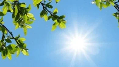 آسمانی صاف و آرام در بیشتر مناطق کشور