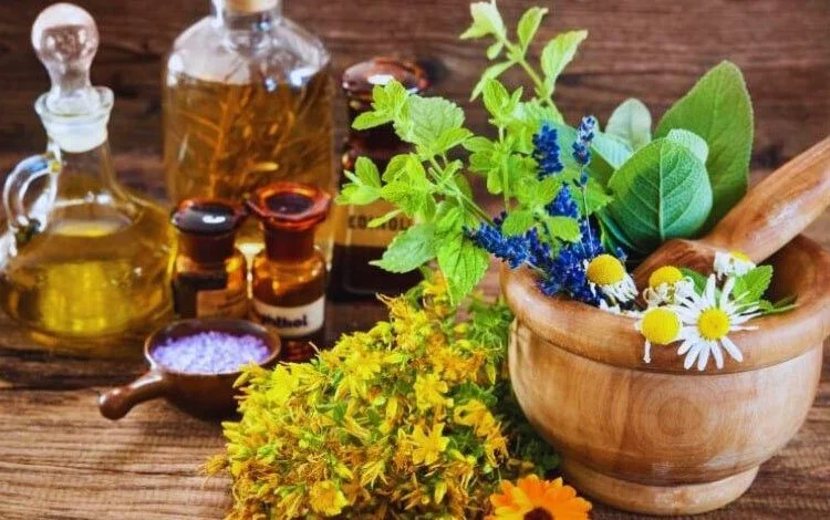اقتصاد گیاهان دارویی باید بر پایه ظرفیتهای منابع طبیعی توسعه یابد اقتصاد گیاهان دارویی باید بر پایه ظرفیتهای منابع طبیعی توسعه یابد