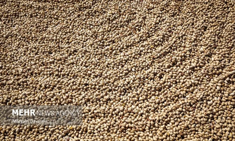 ایران ظرفیت بالایی در صادرات پسته دارد