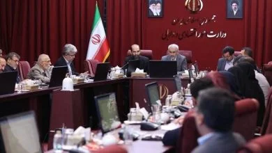 بررسی حق‌العمل جایگاه‌داران سوخت در کمیسیون اقتصاد دولت