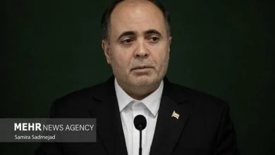 نوری: ایران آماده انتقال تجارب خود در حوزه امنیت غذایی است
