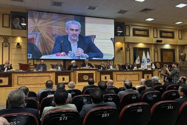 مدنیزاده: تعدد قوانین فعالان اقتصادی را سردرگم میکند مدنیزاده: تعدد قوانین فعالان اقتصادی را سردرگم میکند