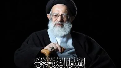 پیام تسلیت حجت‌الاسلام رستمی در پی ارتحال آیت‌الله‌ شبیری زنجانی