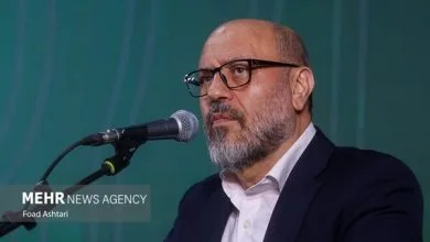 همسو اقتصادی